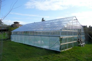 RW Greenhouse complete in 2011                                             