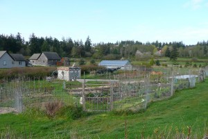 RoseWind Garden